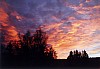 (c) u. friedrich - bild 3.jpg